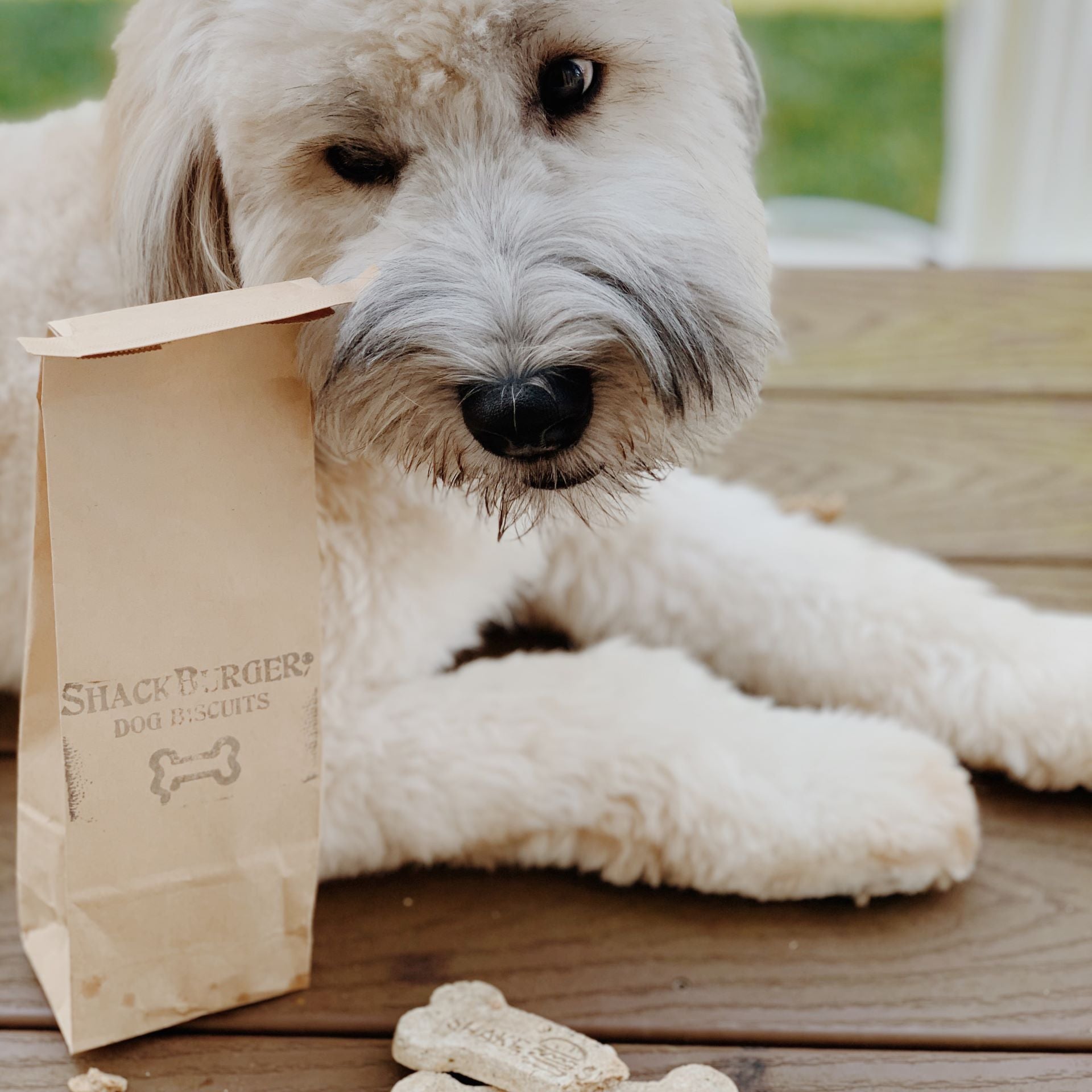 Bag O’ Bones