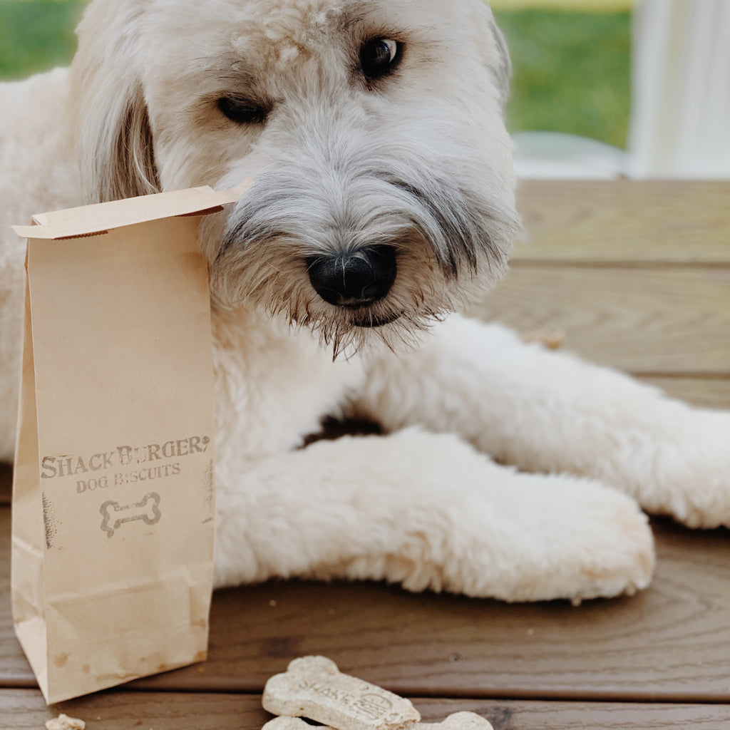 Bag O’ Bones