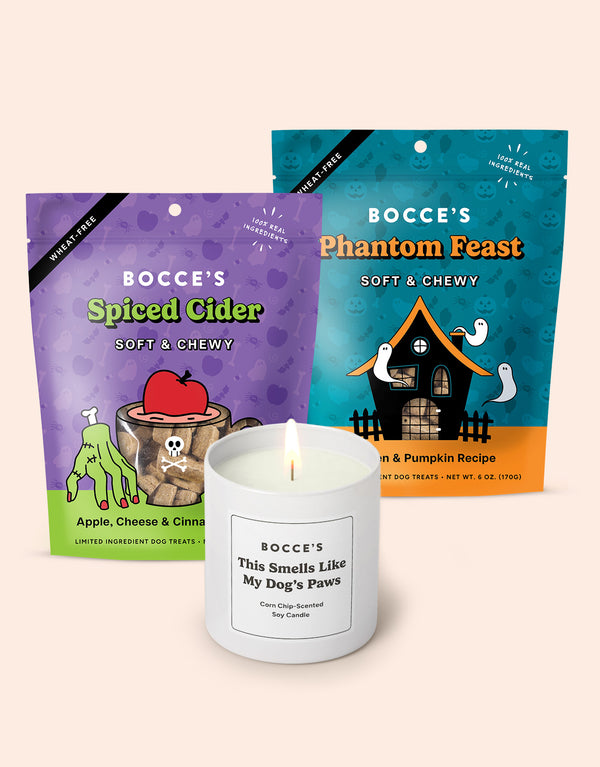 Spooky Séance Bundle